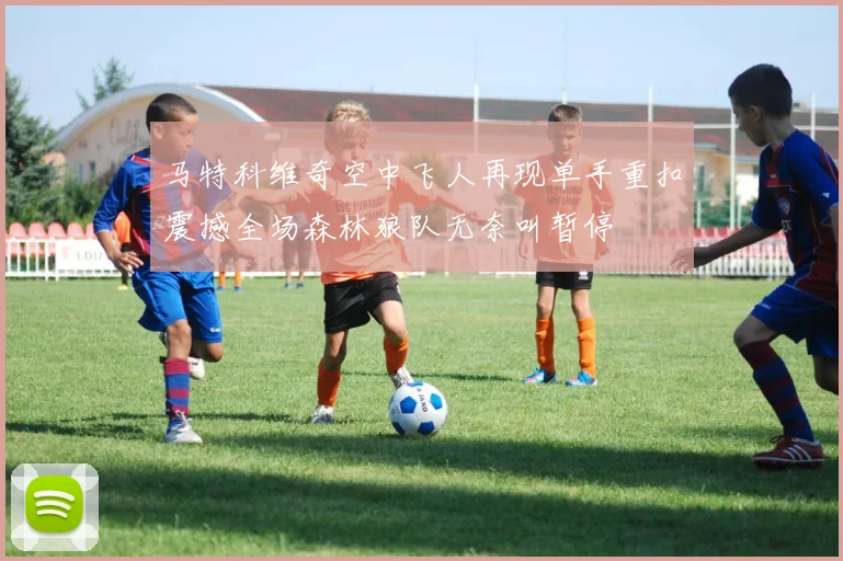 马特科维奇空中飞人再现单手重扣震撼全场森林狼队无奈叫暂停