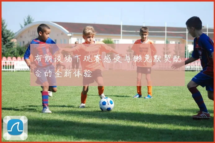 布朗谈场下观赛感受与獭兔默契配合的全新体验