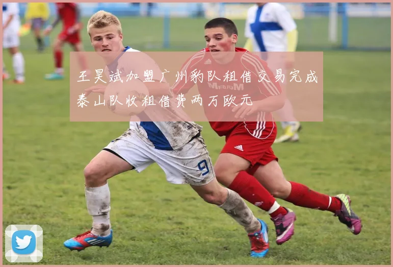 王昊斌加盟广州豹队租借交易完成泰山队收租借费两万欧元